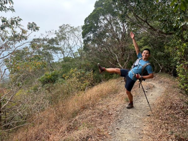 力里山【以產業道路為中央伍 散開】3000047