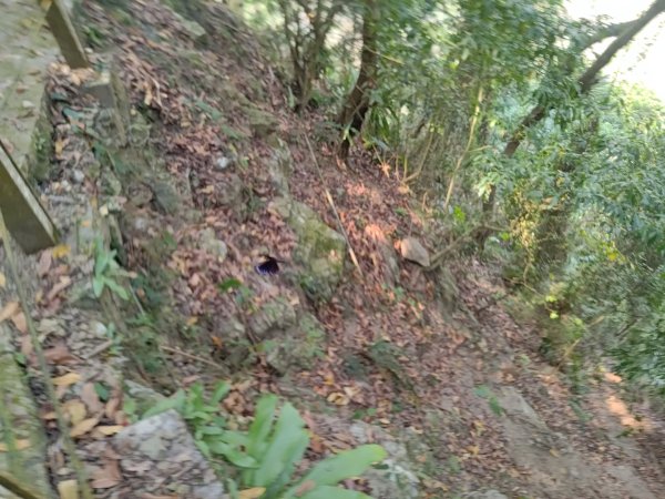 塘湖古道塘湖山甕缸潭2454259