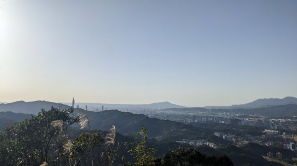 更寮古道 土庫岳 土庫岳東峰 山豬窟尖2056823