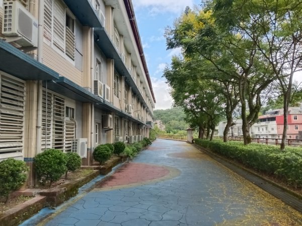 雙溪區雙柑公路-柑腳城單車遊2923468