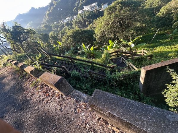 楓仔林步道、蝙蝠洞、護國清涼寺、草嶺步道2663930