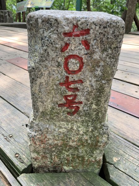 20250906台南糞箕湖山2881415