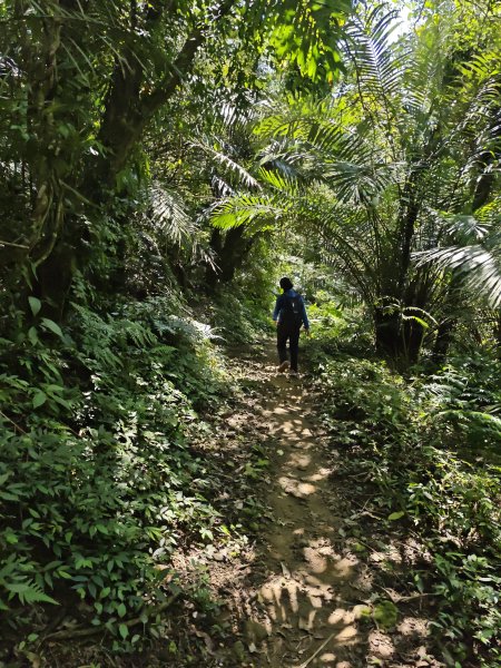 2025-0322歐都納登山活動南勢角站2740110
