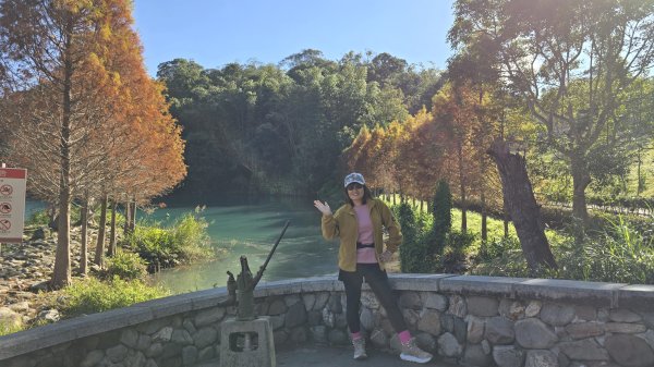 中部最美的落羽松，最美的自行車道，向山遊客中心的落羽松，最迷人的時候，美的不可思議，彷彿置身在潑墨畫2685346