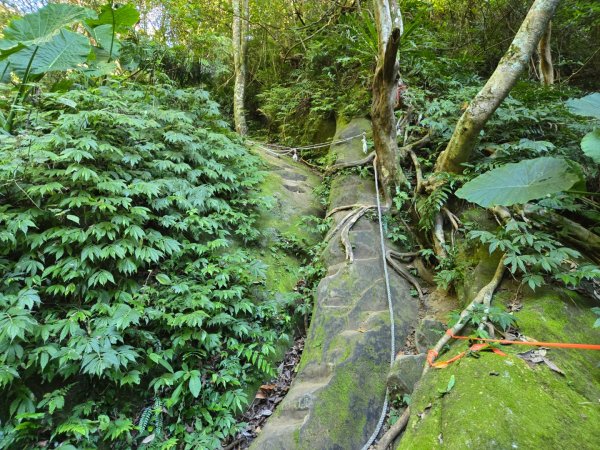 石牛山（小百岳）2909981