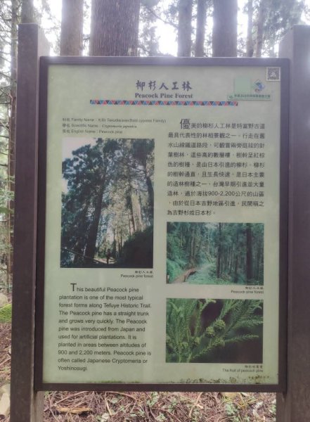 1140830特富野古道3099962
