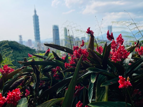 1140513象山峰-永春崗平台O繞2785603