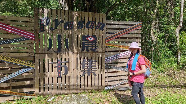 (姨婆趴趴走)第二十一集:桃園復興高遶溪古圳步道、新柑坪山、牛背岩環狀縱走2252285