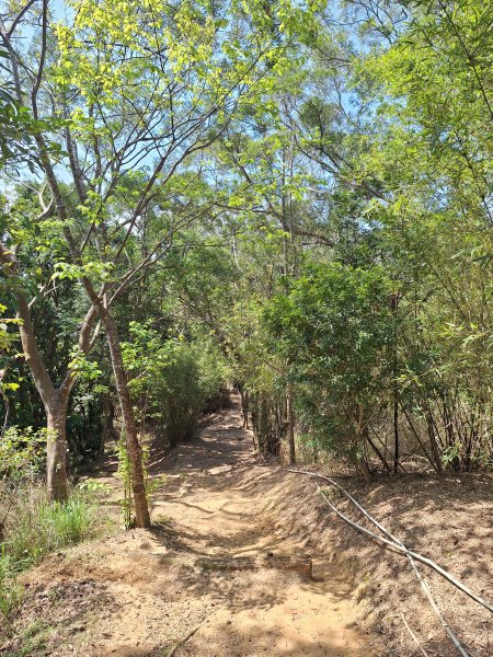 造橋口山古道202503122734403