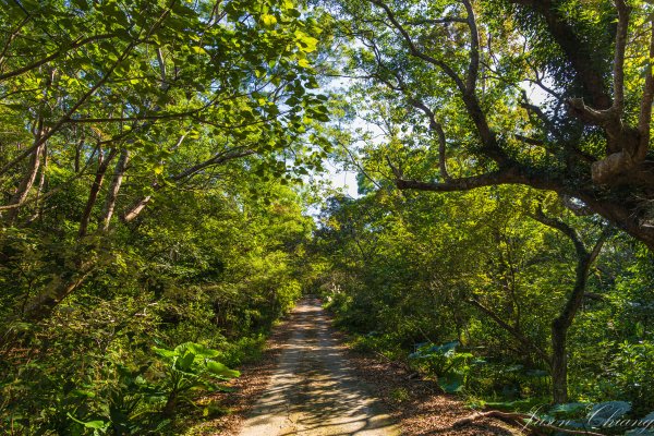 [台東]巴塱衛山2978295