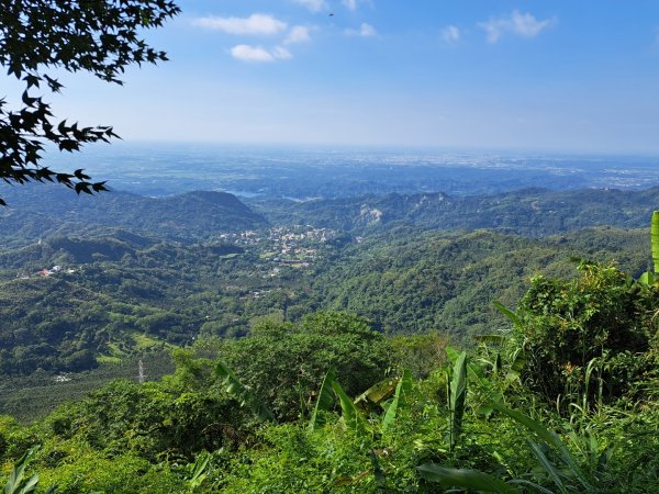 台南關子嶺枕頭山，大凍山，雞籠山步道3123328
