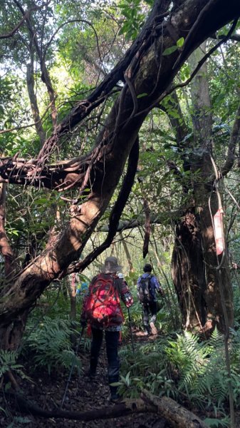 深坑越嶺南港拇指山2377659