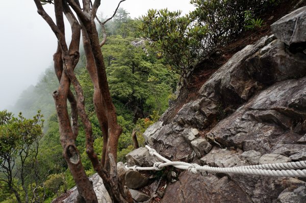 台中和平鳶嘴山600712