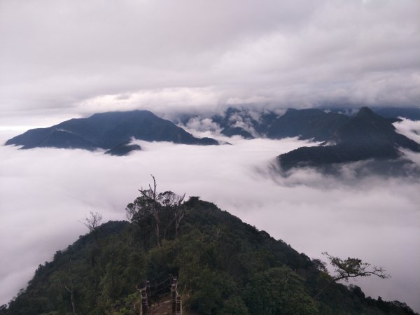 谷關七雄:阿白縱走-白毛山+太郎山+次郎山1513811