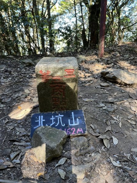 雪見大板根2959258