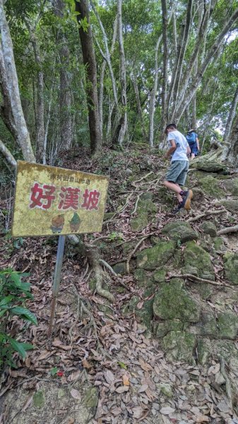 赤柯山 東獅頭山2501616