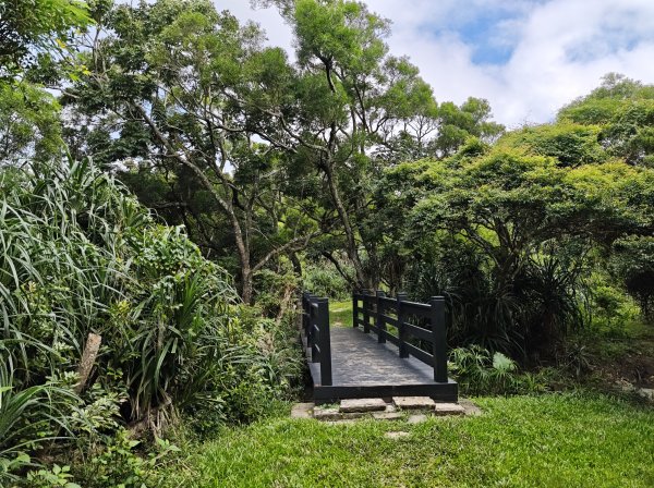 [百山百鳥尋旅-02/15] 2025_0809 社頂自然公園步道2857021