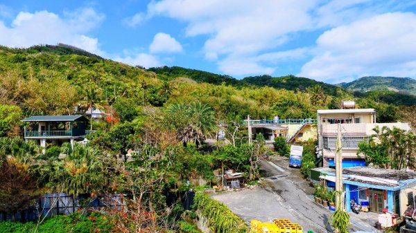 洄瀾東海岸3006649