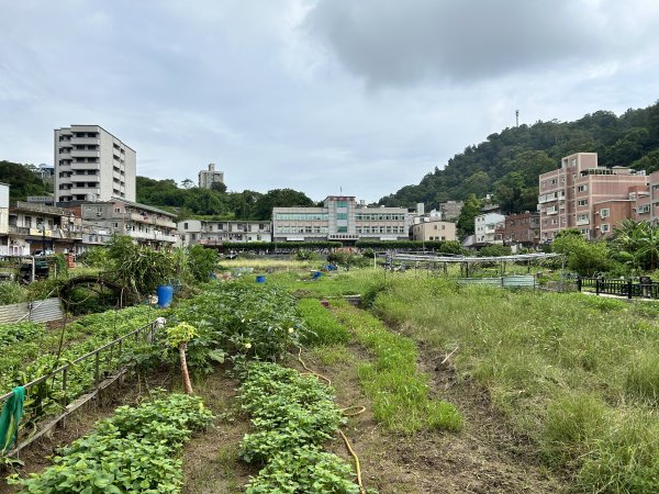 雲台山2576217