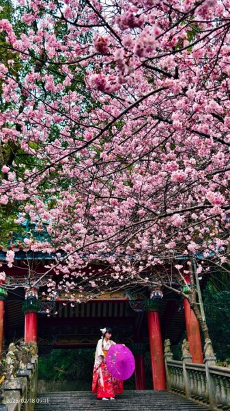 內湖碧山巖 2/182714802