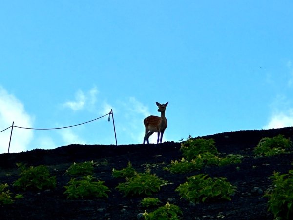 富士山御殿場線~海拔0至37762558986