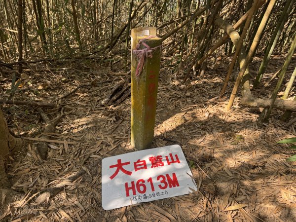 《白鷲山》《大白鷲山》《雞胸山》2999420