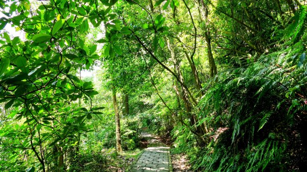 內雙溪自然中心2808700