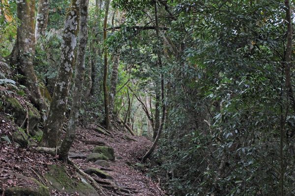 馬那邦山(珠湖線來回)375050