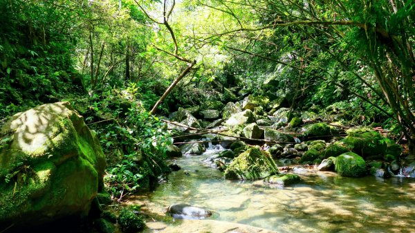 雙溪下坑古道2859468