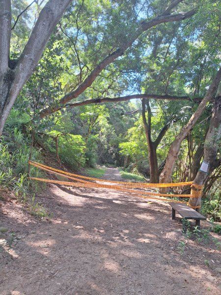 田中森林登山步道＋茶香步道＋赤水崎公園步道202508172862069