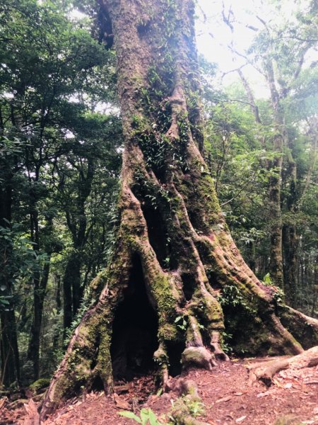 1090725高台山+美人湯1045478