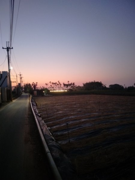 松柏坑山、田園茶香賞茶步道1972455