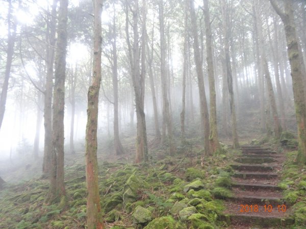 稍來小雪山步道451256