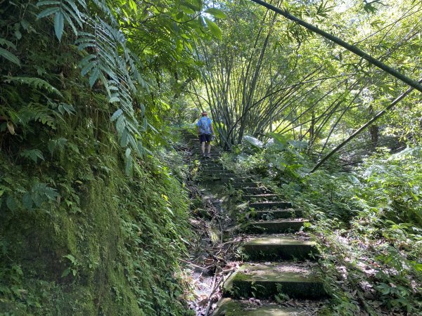 2025微笑山線大縱走尋寶集章任務-Ep.11【五分山系】平溪小黃山段｜慈母峰 × 孝子山2908898
