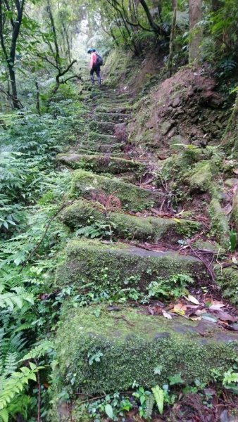 璀璨百年淡蘭古道～虎豹潭古道連走橫山、三方向山、尪子嶺Ｏ走1301134