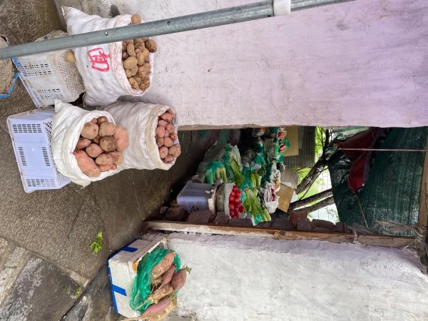 拉薩/布達拉宮-札達/古格王朝遺址皮央東嘎遺址-古寺廟2898460