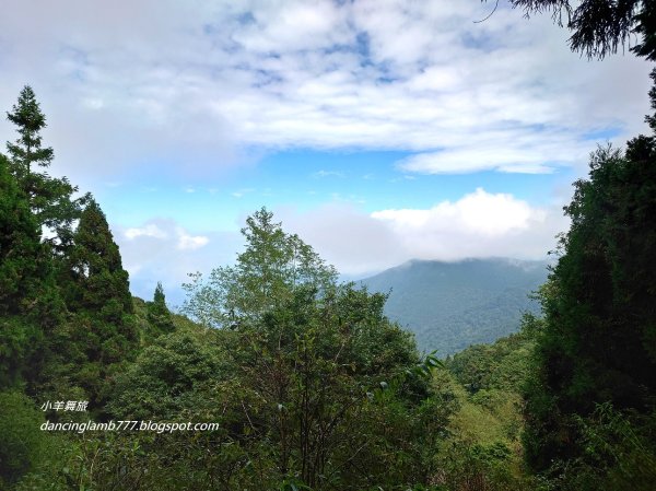 【新竹】觀霧森林遊樂區：檜山巨木群步道2397410