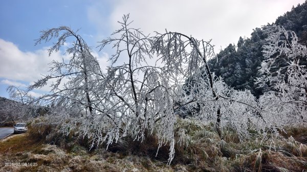 #霧淞 #雲海 #雲瀑 #霧虹 #太平山 #望洋山 #觀雲步道 #翠峰道路  2/82995367