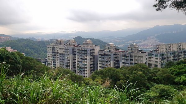 土城太極嶺，五城山，將軍嶺，文筆山，鶯歌石，牛灶坑山，龜公山，孫龍步道，二鬮山1736819