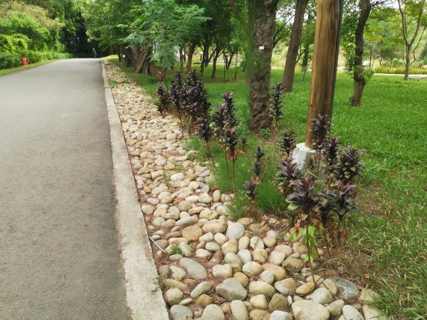 暑之大湳森林公園2859590