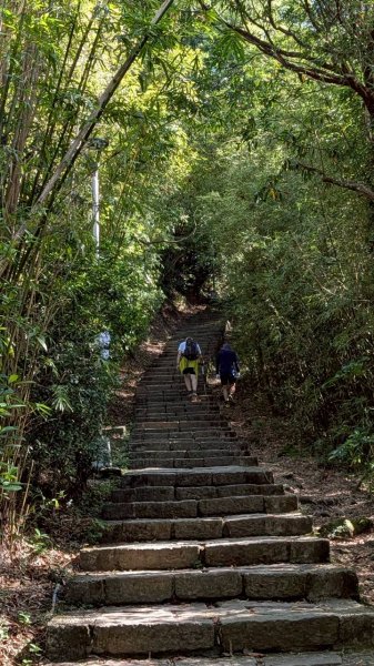 硬漢嶺步道(觀音山)2935147