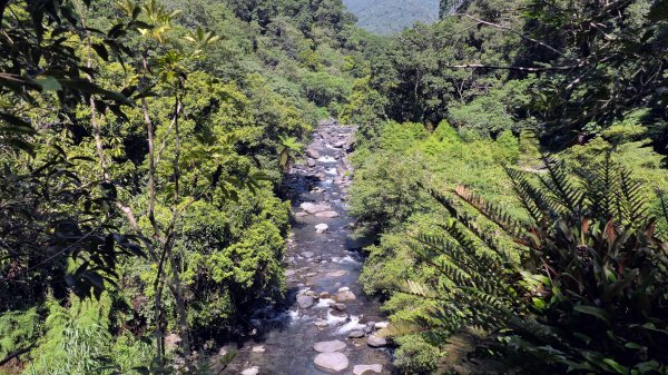 福山部落,內洞森遊區2552358