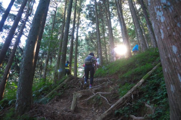 熱門山的冷門路，油羅山(二上四下)O型1866000