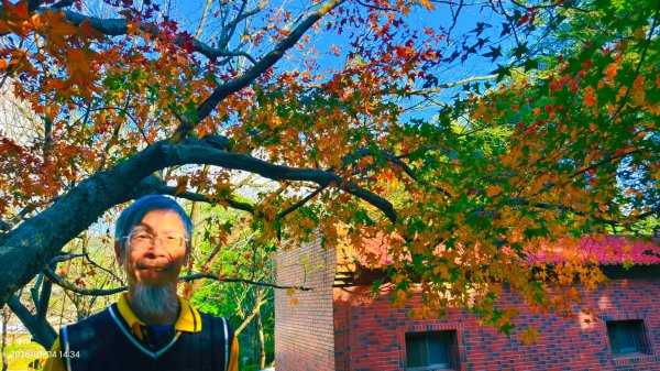 #花卉試驗中心 #永公路500巷 #平菁街42巷 #原住民公園 #士林官邸 1/42976634