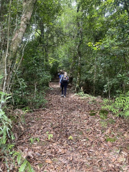 【淡蘭古道尋寶任務】淡蘭南路第四段｜𩻸魚堀溪自行車道至縣界公園2926435