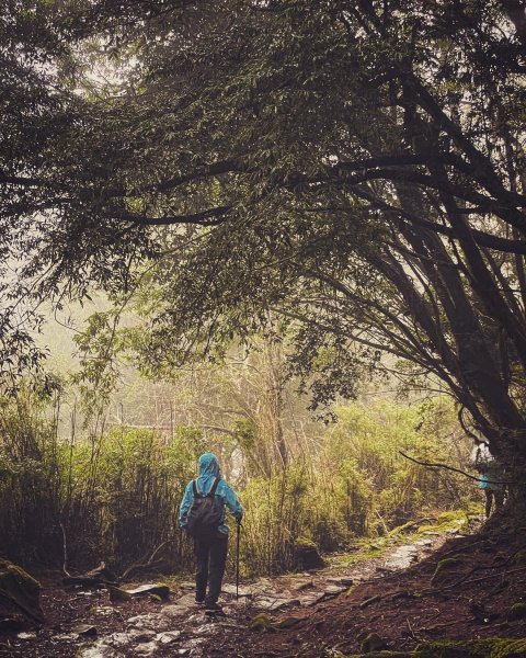 二延坪_鹿林山2865326