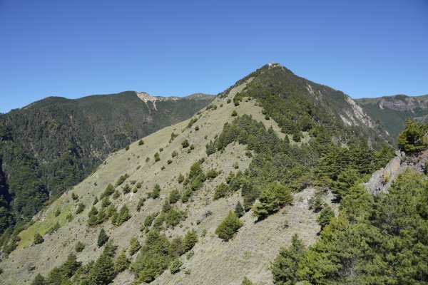 台灣百岳 | 玉山後四峰2575734