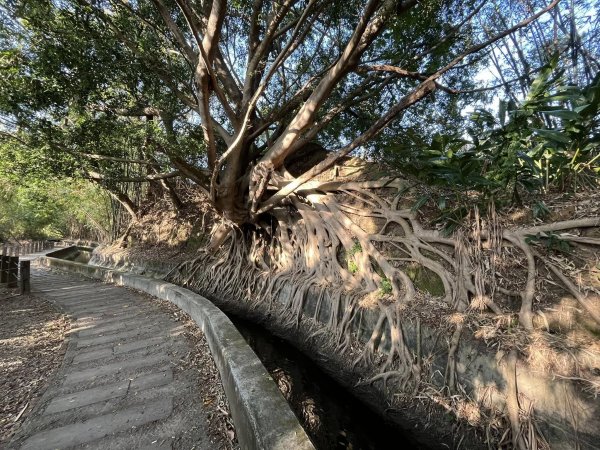 知高圳步道2711620