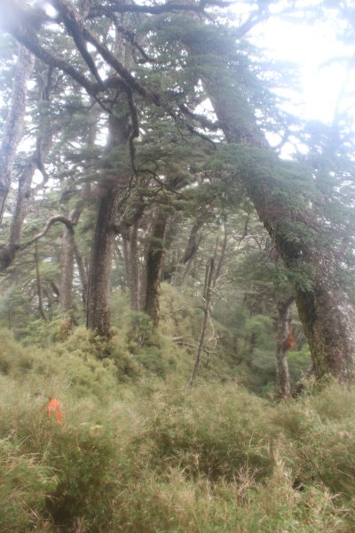 20240210高雄斯拉巴庫山2431561