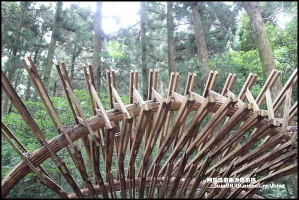 東眼山打卡新亮點森林裡的木構裝置藝術1021803